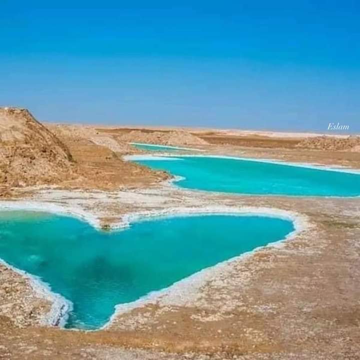 WhatsApp Image 2025-08-06 at 2.00.36 PM (1)