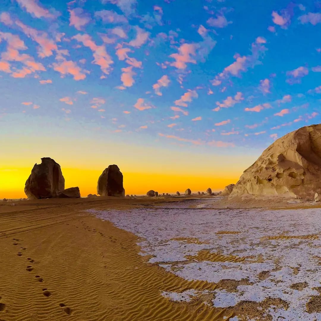 WhatsApp Image 2025-08-06 at 2.00.39 PM (1)