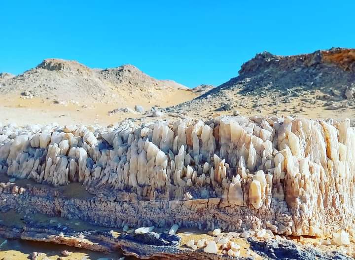 WhatsApp Image 2025-08-06 at 2.00.44 PM (2)